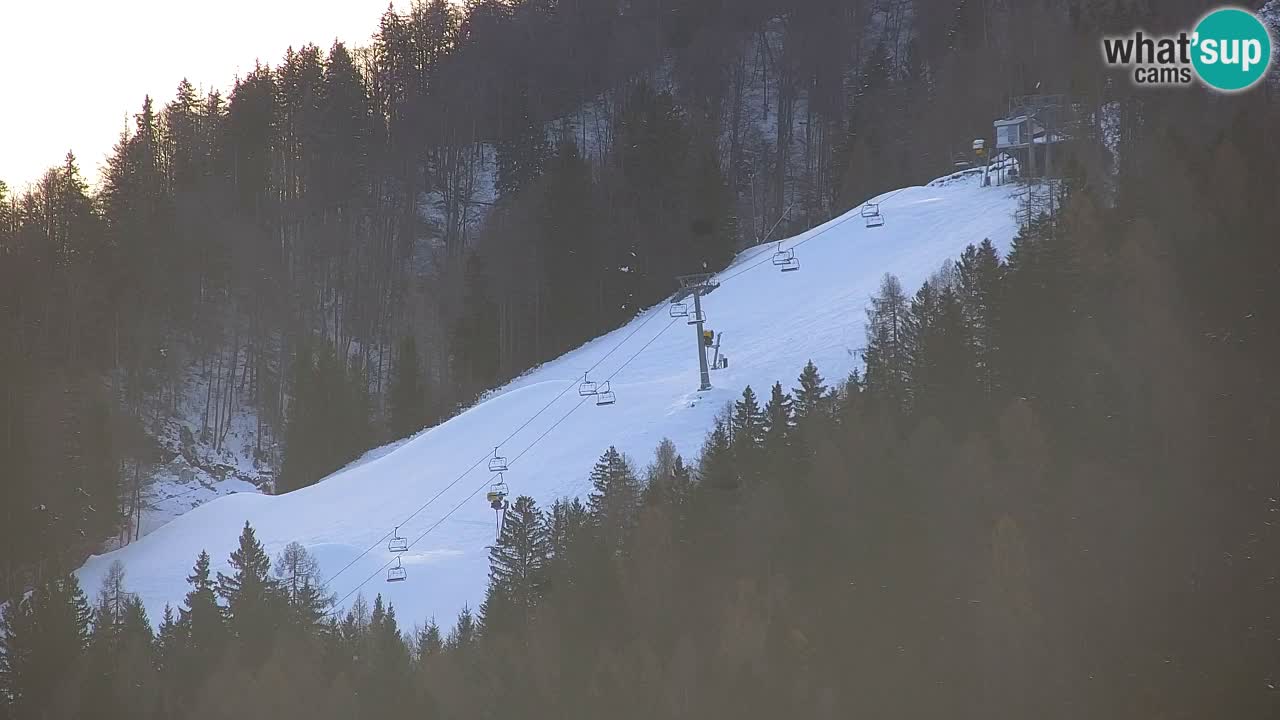 Ski Kranjska Gora | Velika Dolina