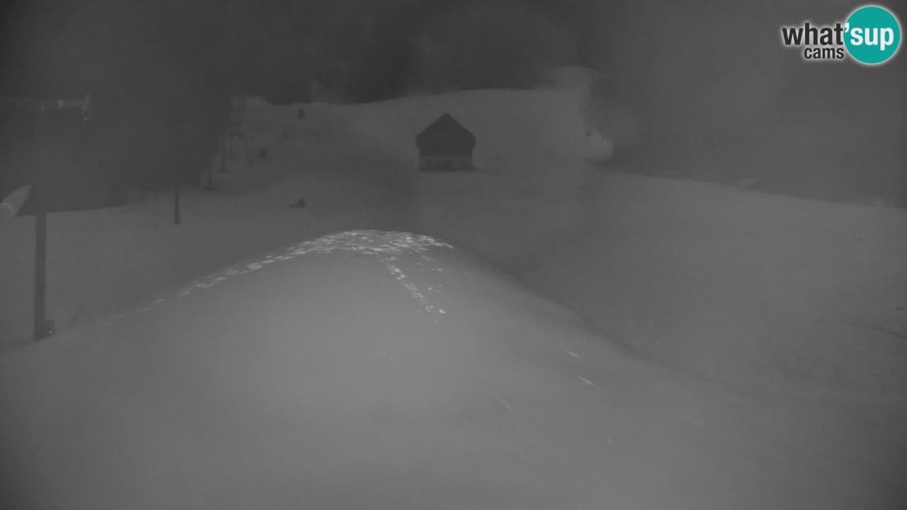 Ski Kranjska Gora | Velika Dolina