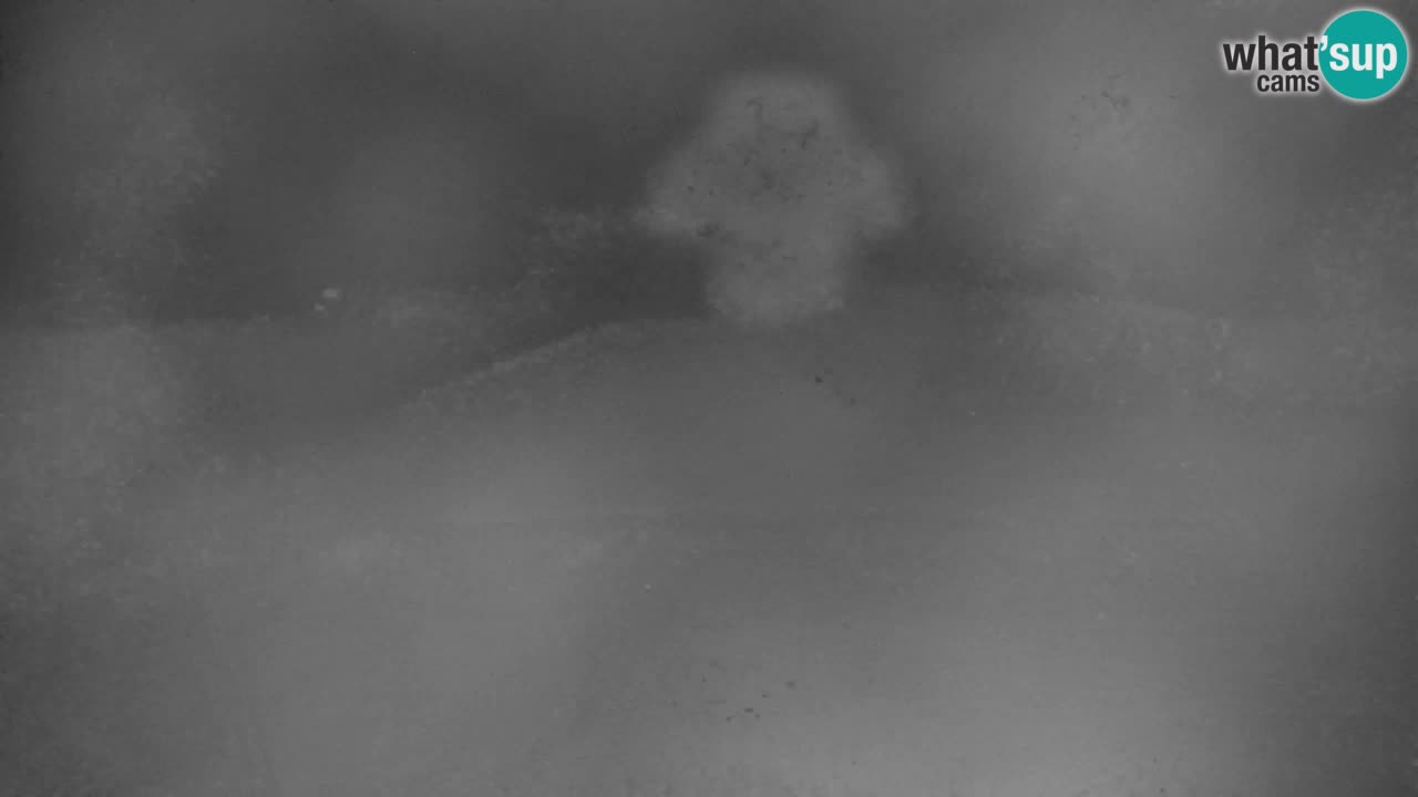 Skijanje Kranjska Gora | Velika Dolina