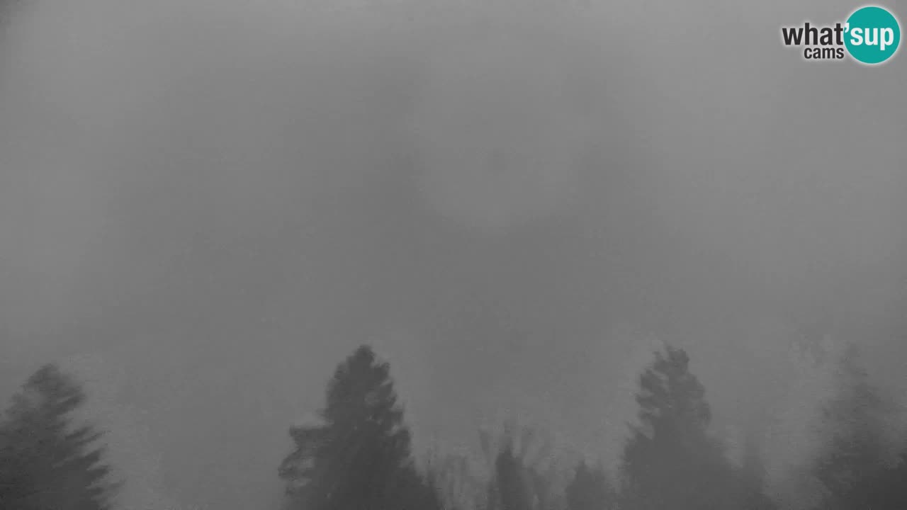 Kranjska Gora | Velika Dolina