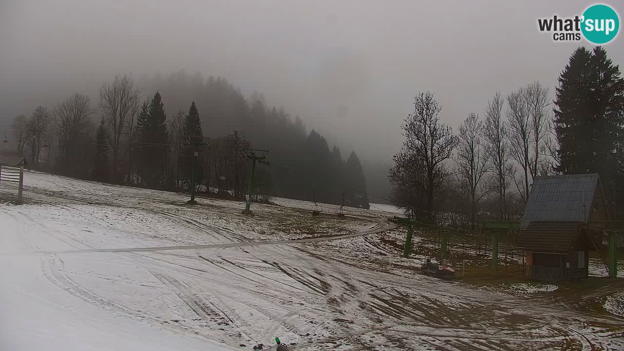 Skigebiet Kranjska Gora | Velika Dolina