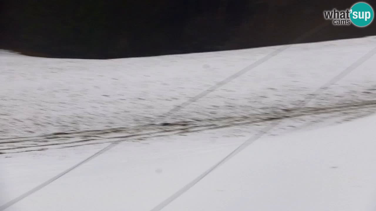 Skigebiet Kranjska Gora | Velika Dolina