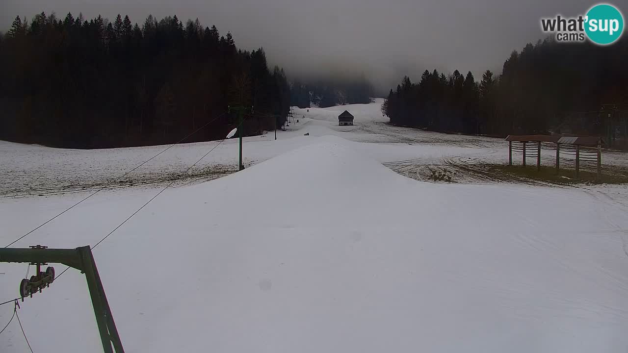 Ski Kranjska Gora | Velika Dolina