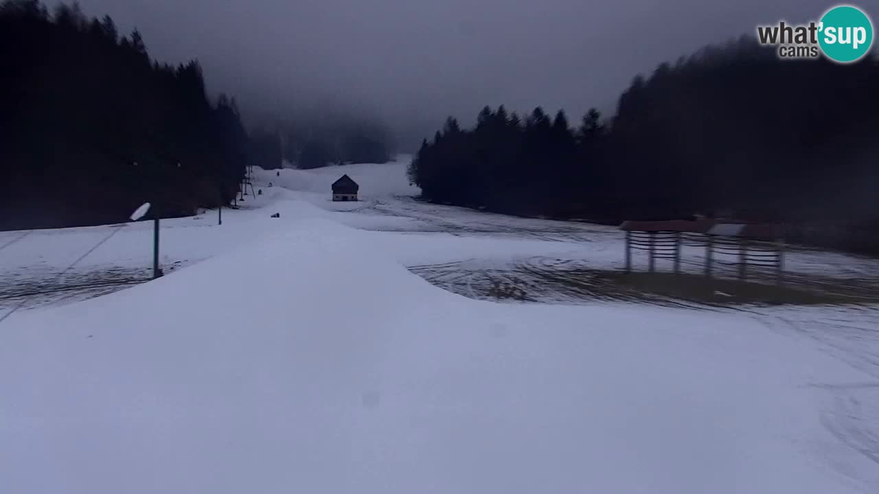 Ski Kranjska Gora | Velika Dolina