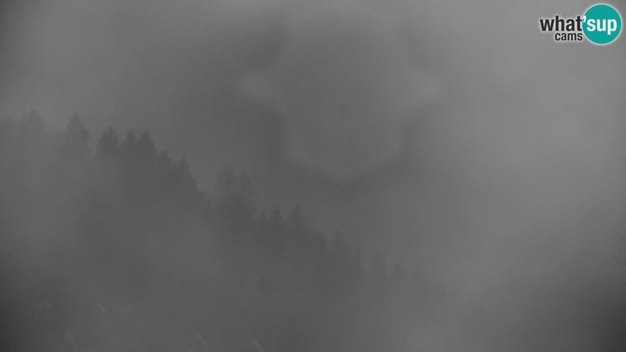 Ski Kranjska Gora | Velika Dolina