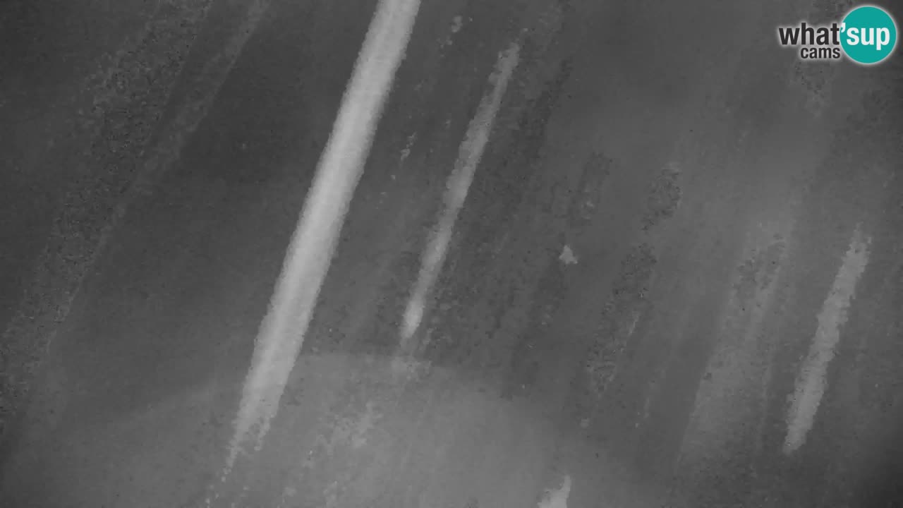 Ski Kranjska Gora | Velika Dolina