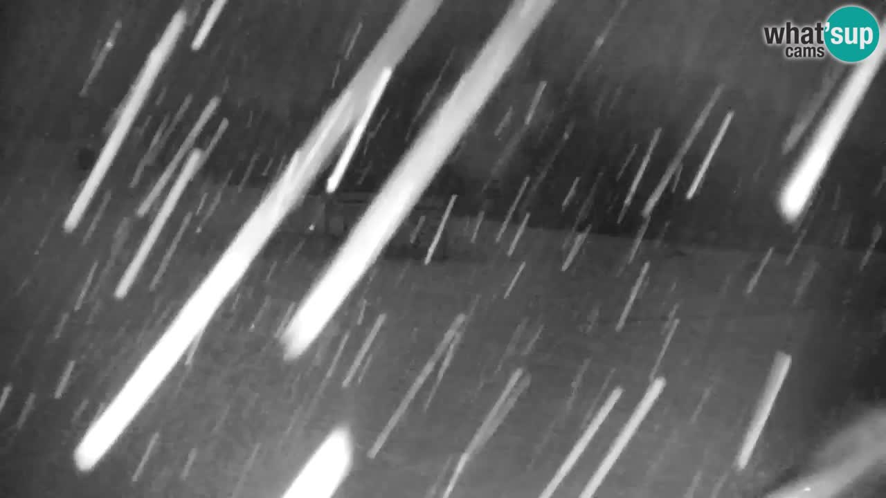 Skigebiet Kranjska Gora | Velika Dolina