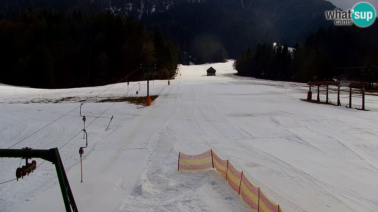 Ski Kranjska Gora | Velika Dolina
