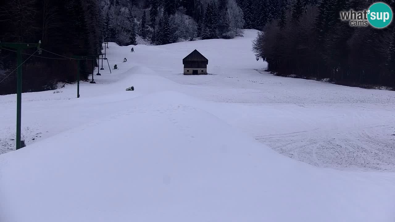 RTC Kranjska Gora | Velika Dolina