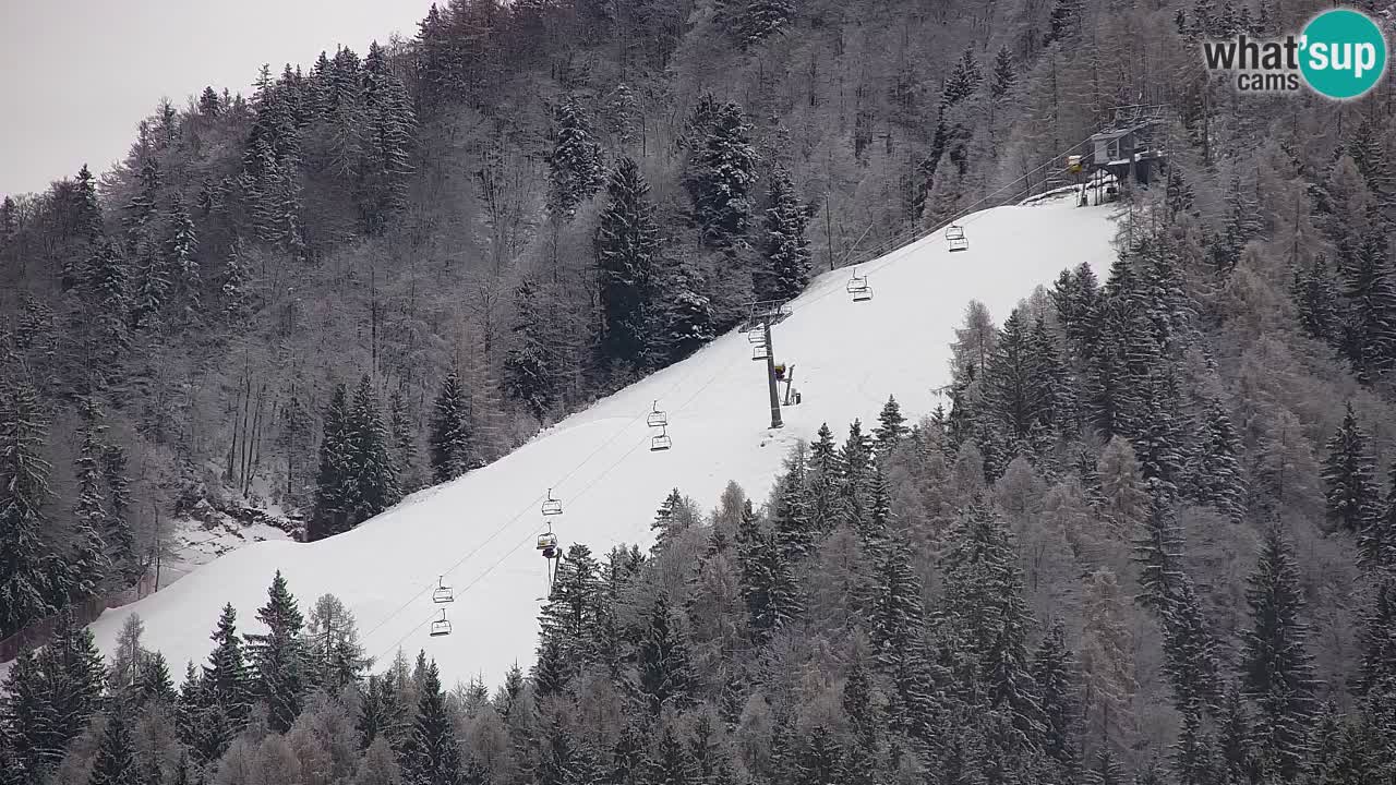 RTC Kranjska Gora | Velika Dolina