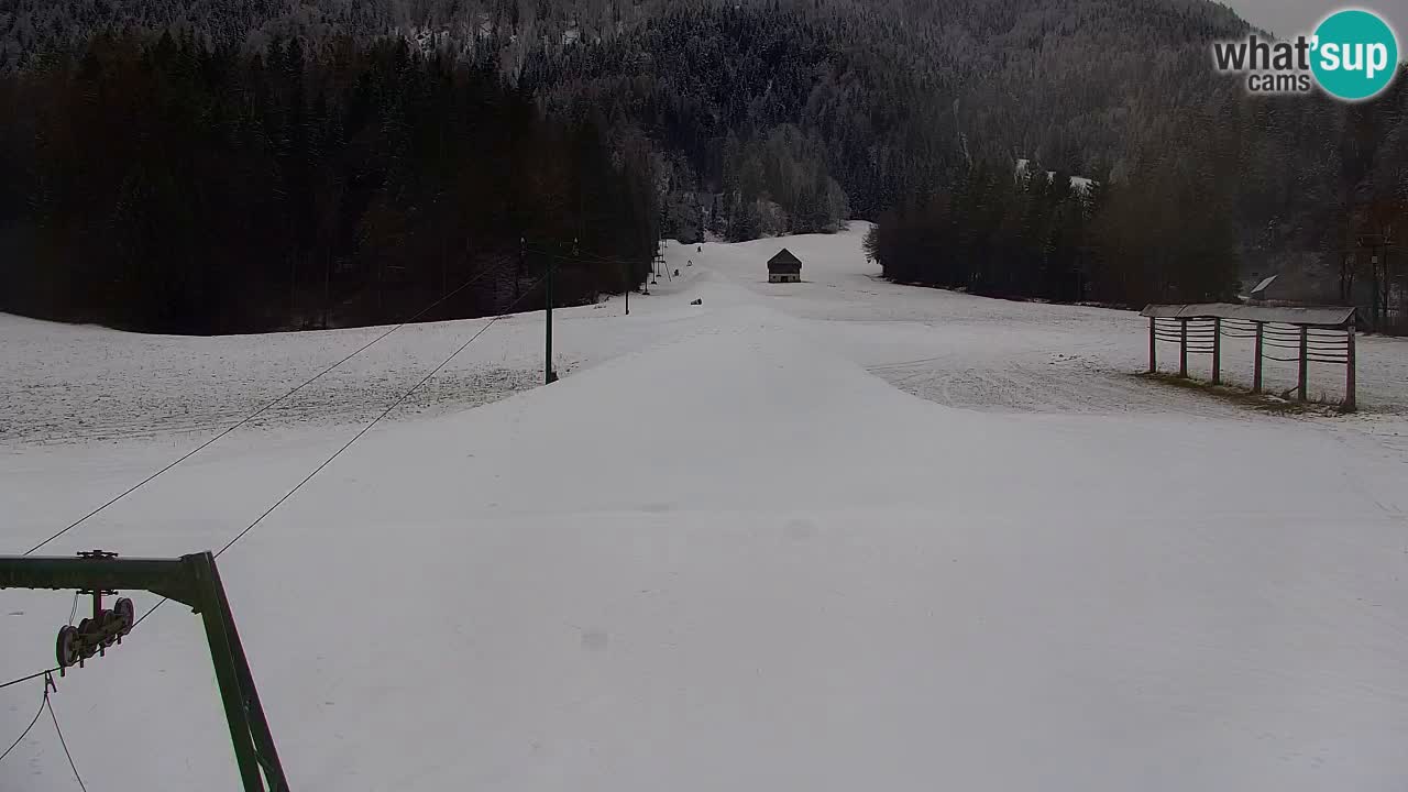 Ski Kranjska Gora | Velika Dolina
