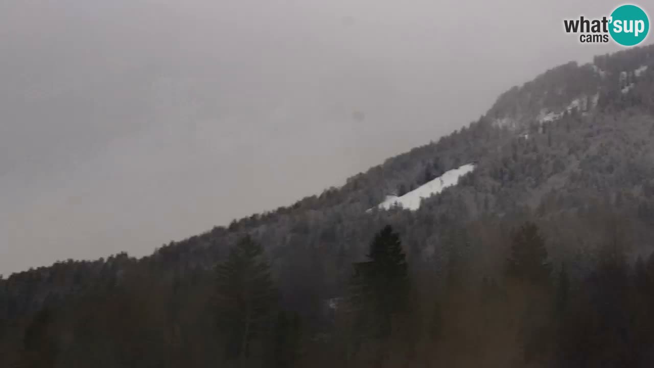 Skigebiet Kranjska Gora | Velika Dolina