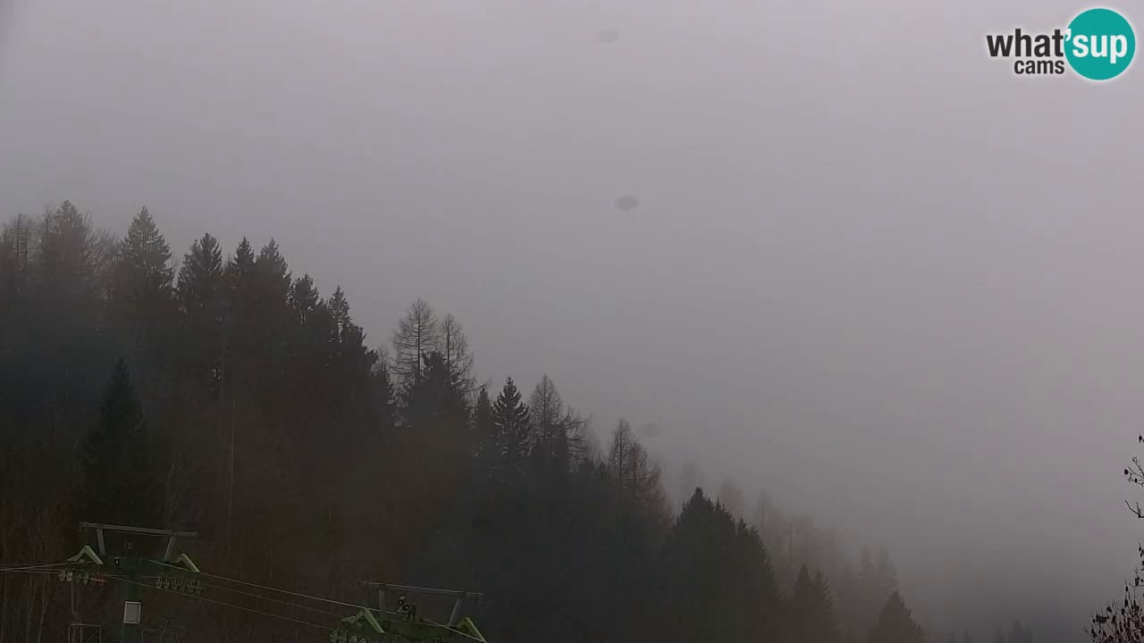 Ski Kranjska Gora | Velika Dolina