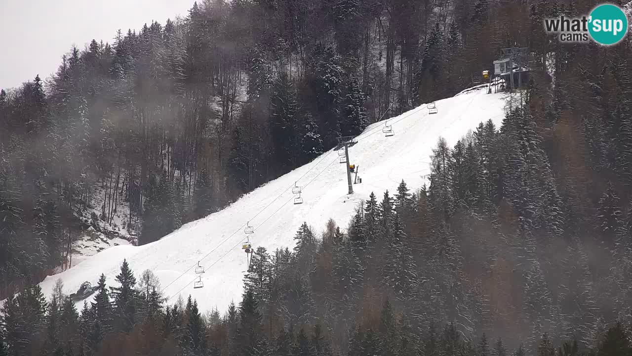 Ski Kranjska Gora | Velika Dolina