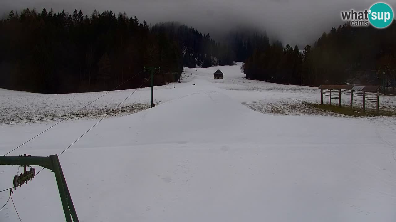Estación de esquí Kranjska Gora | Velika Dolina