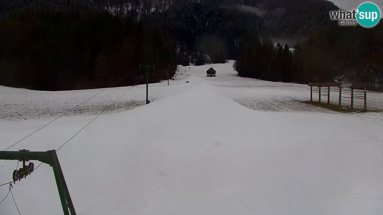 Skijanje Kranjska Gora | Velika Dolina
