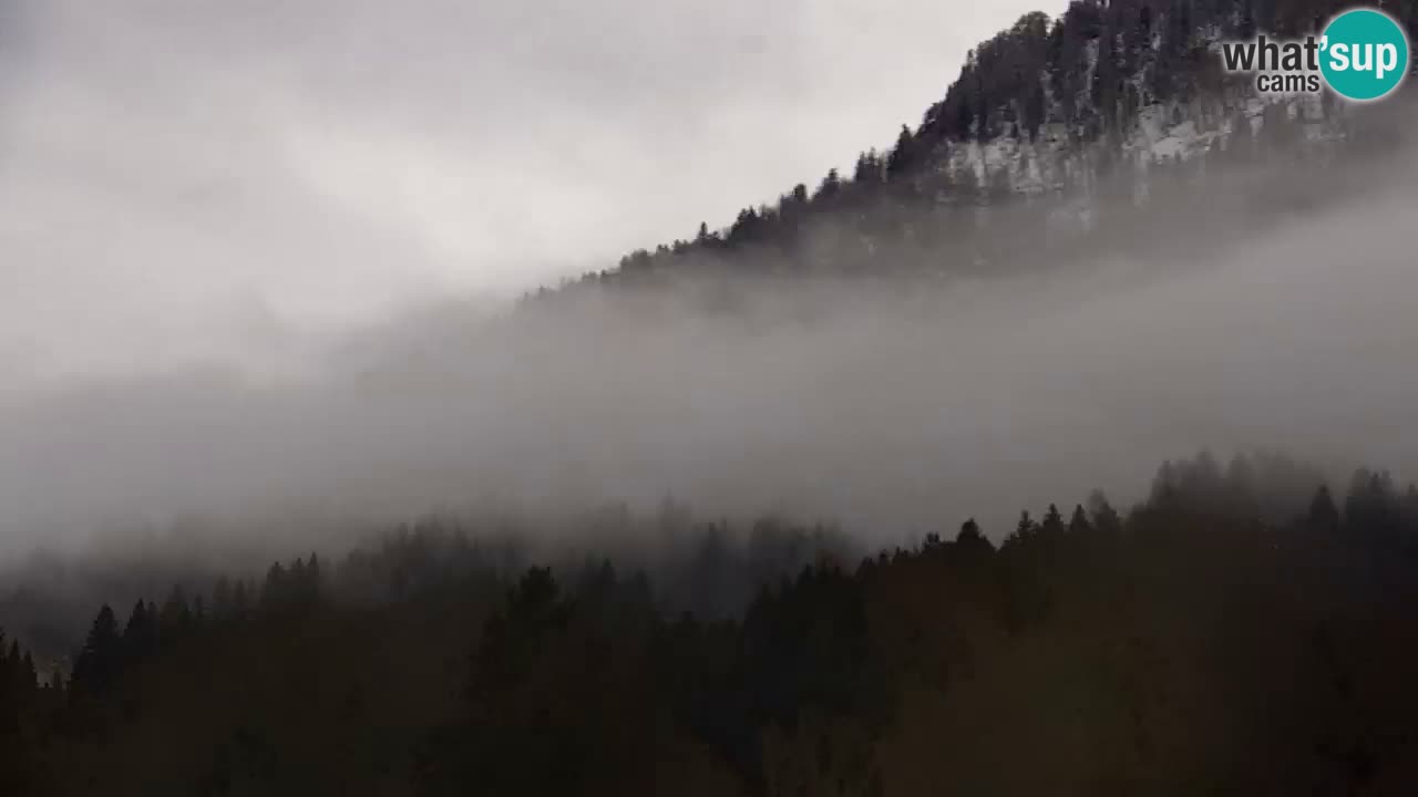 Estación de esquí Kranjska Gora | Velika Dolina