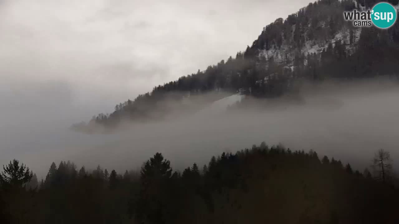 RTC Kranjska Gora | Velika Dolina