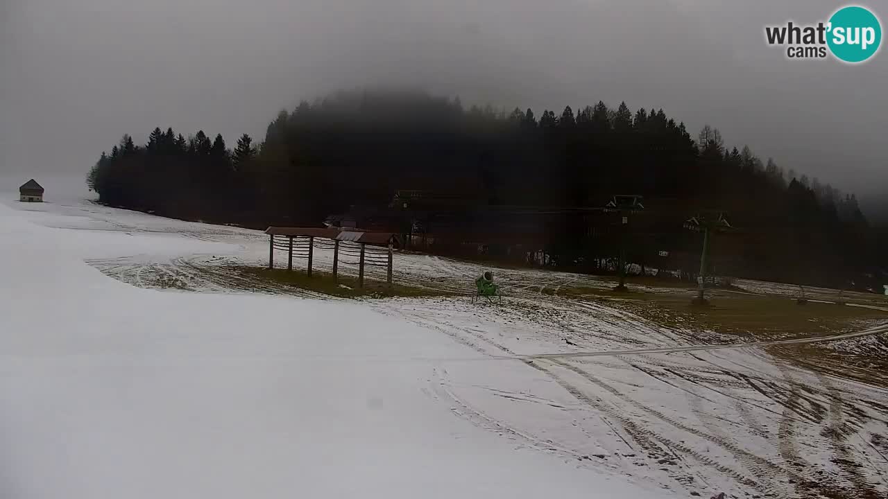 Ski Kranjska Gora | Velika Dolina