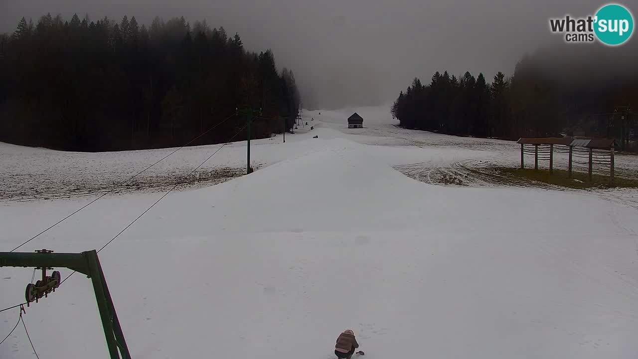 Ski Kranjska Gora | Velika Dolina