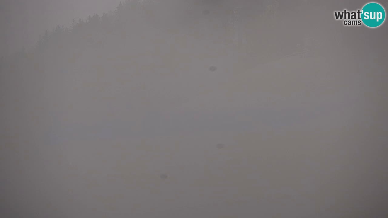 Station de ski Kranjska Gora | Velika Dolina