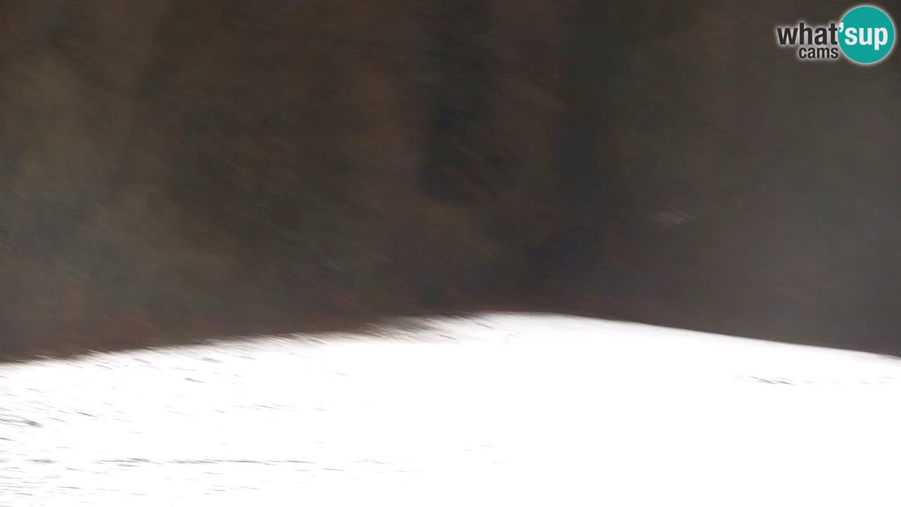 Estación de esquí Kranjska Gora | Velika Dolina