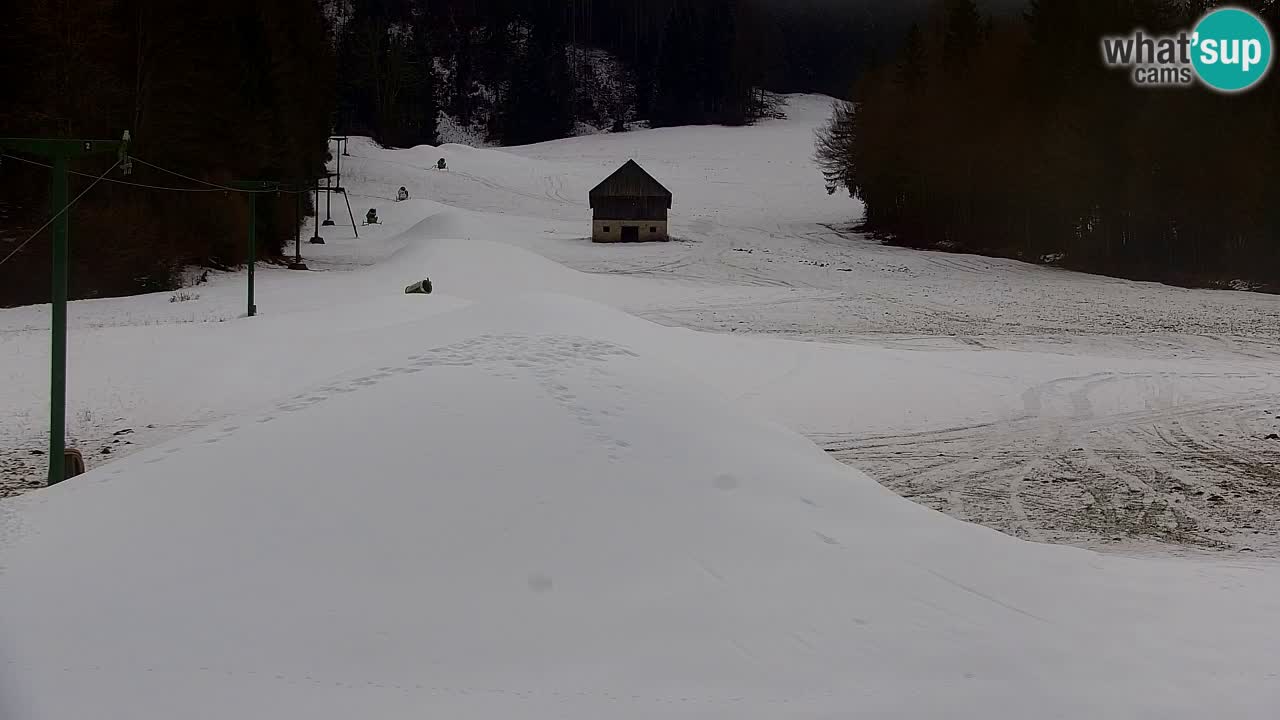 Estación de esquí Kranjska Gora | Velika Dolina