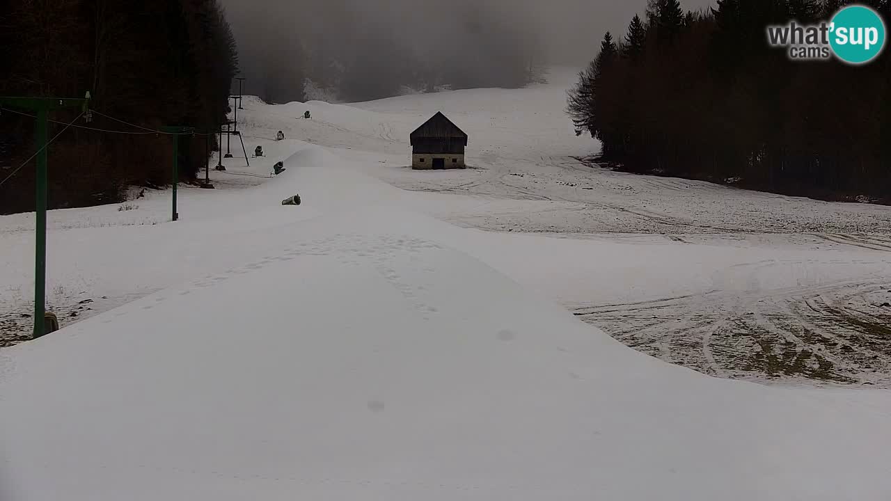 Skigebiet Kranjska Gora | Velika Dolina
