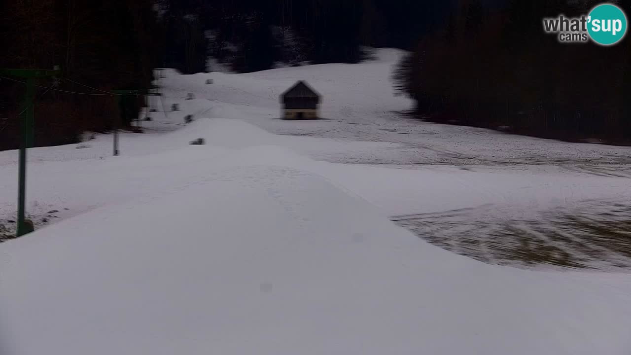 Estación de esquí Kranjska Gora | Velika Dolina