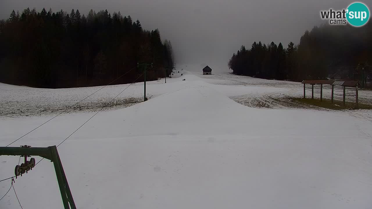 Ski Kranjska Gora | Velika Dolina