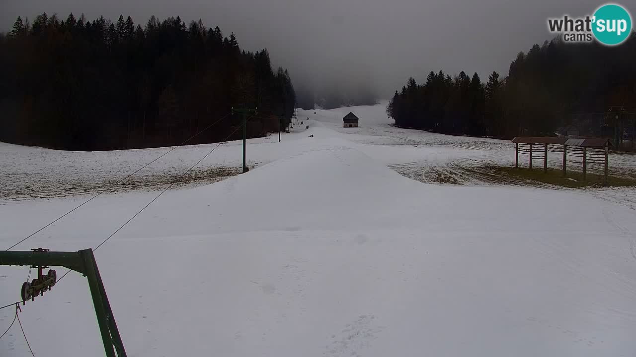 Ski Kranjska Gora | Velika Dolina