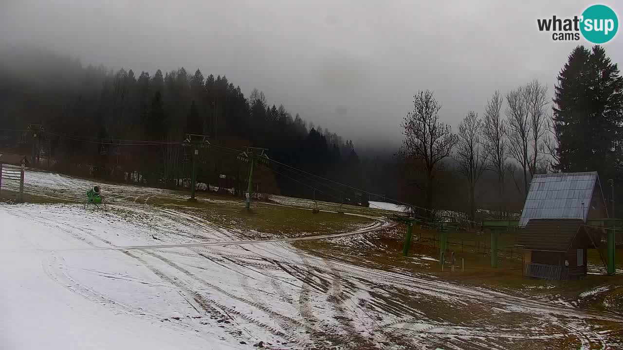 Ski Kranjska Gora | Velika Dolina