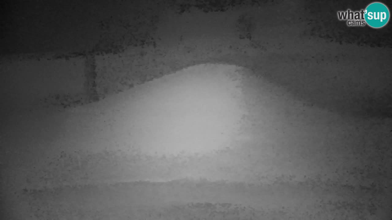 Skijanje Kranjska Gora | Velika Dolina