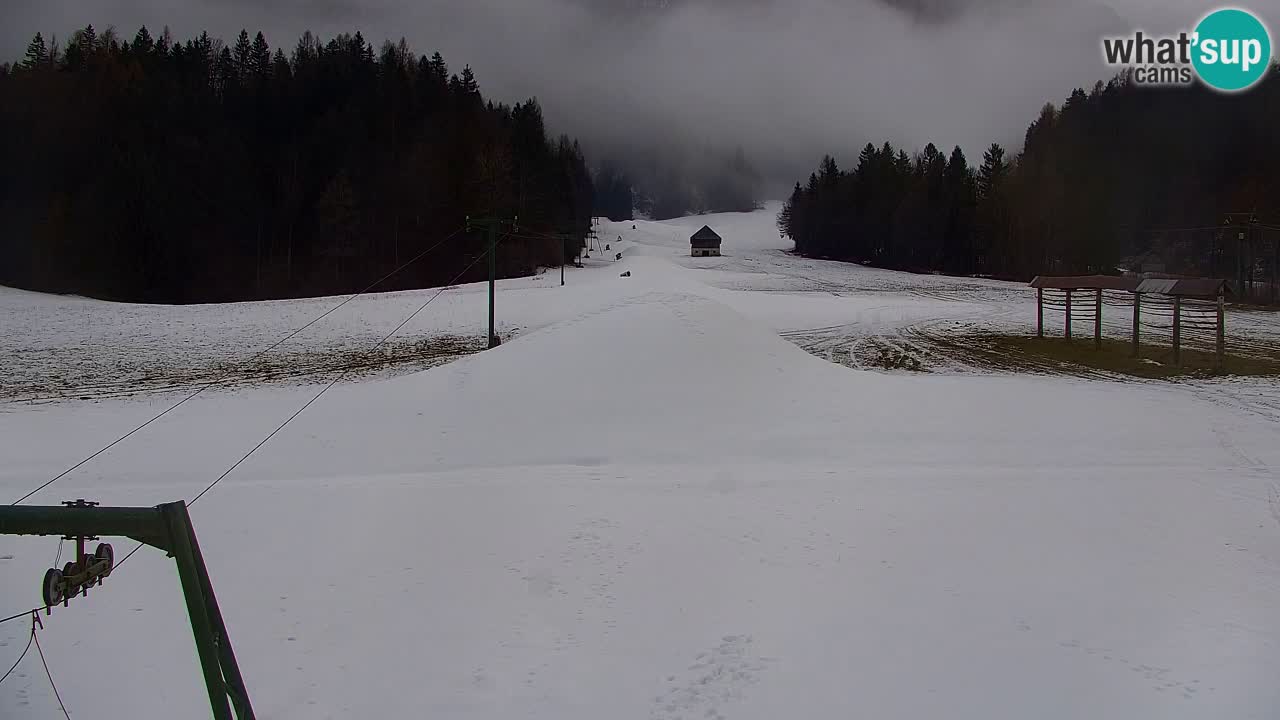 Ski Kranjska Gora | Velika Dolina