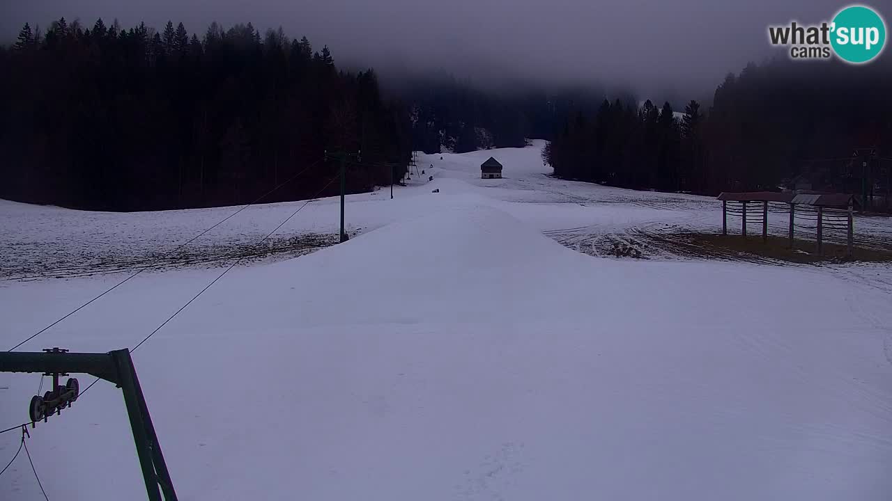 Skigebiet Kranjska Gora | Velika Dolina