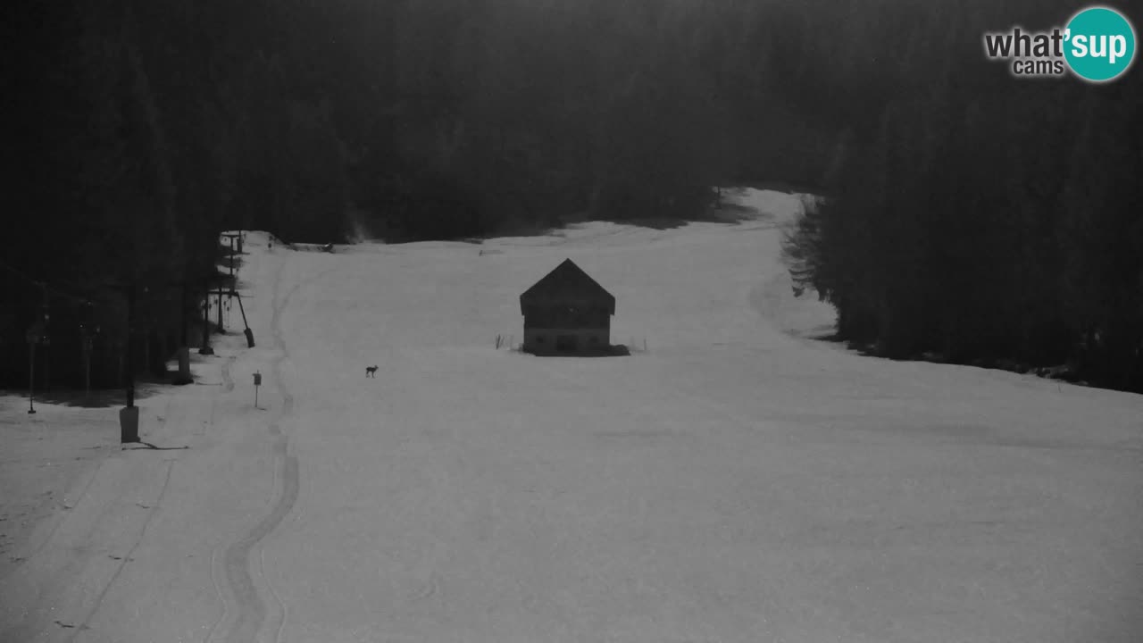 Skijanje Kranjska Gora | Velika Dolina