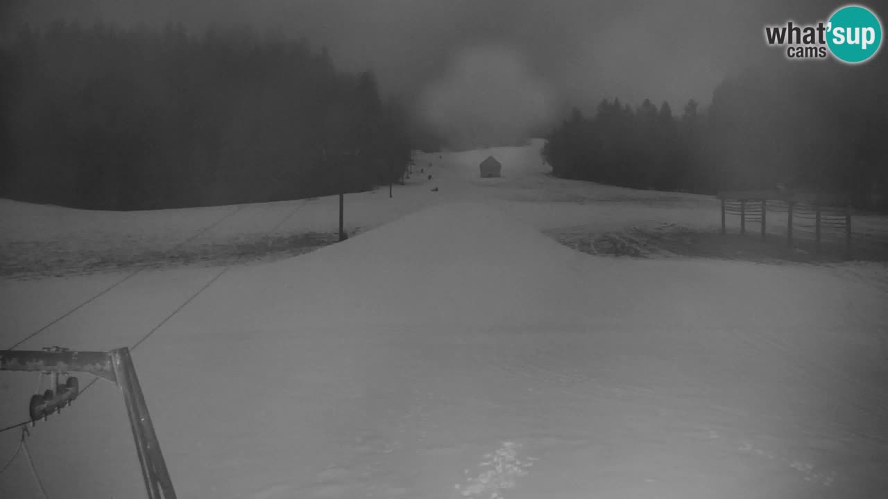 Ski Kranjska Gora | Velika Dolina