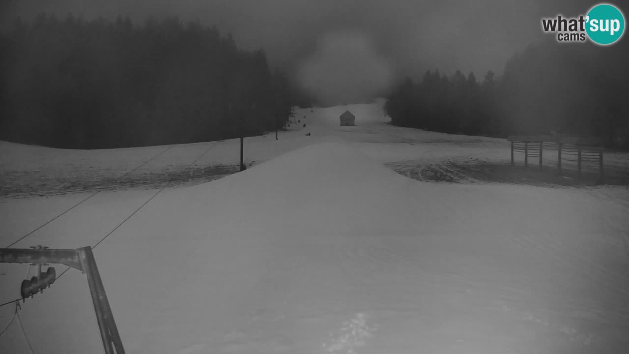 Ski Kranjska Gora | Velika Dolina