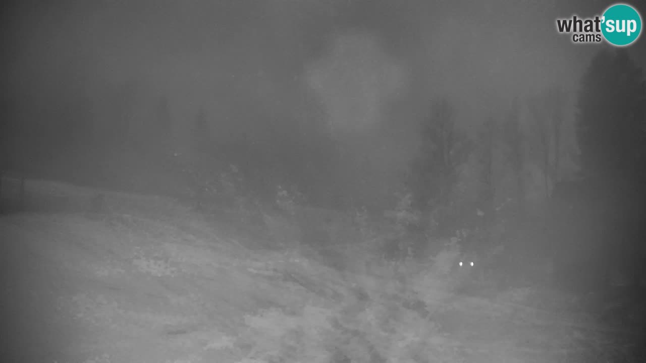 Skigebiet Kranjska Gora | Velika Dolina