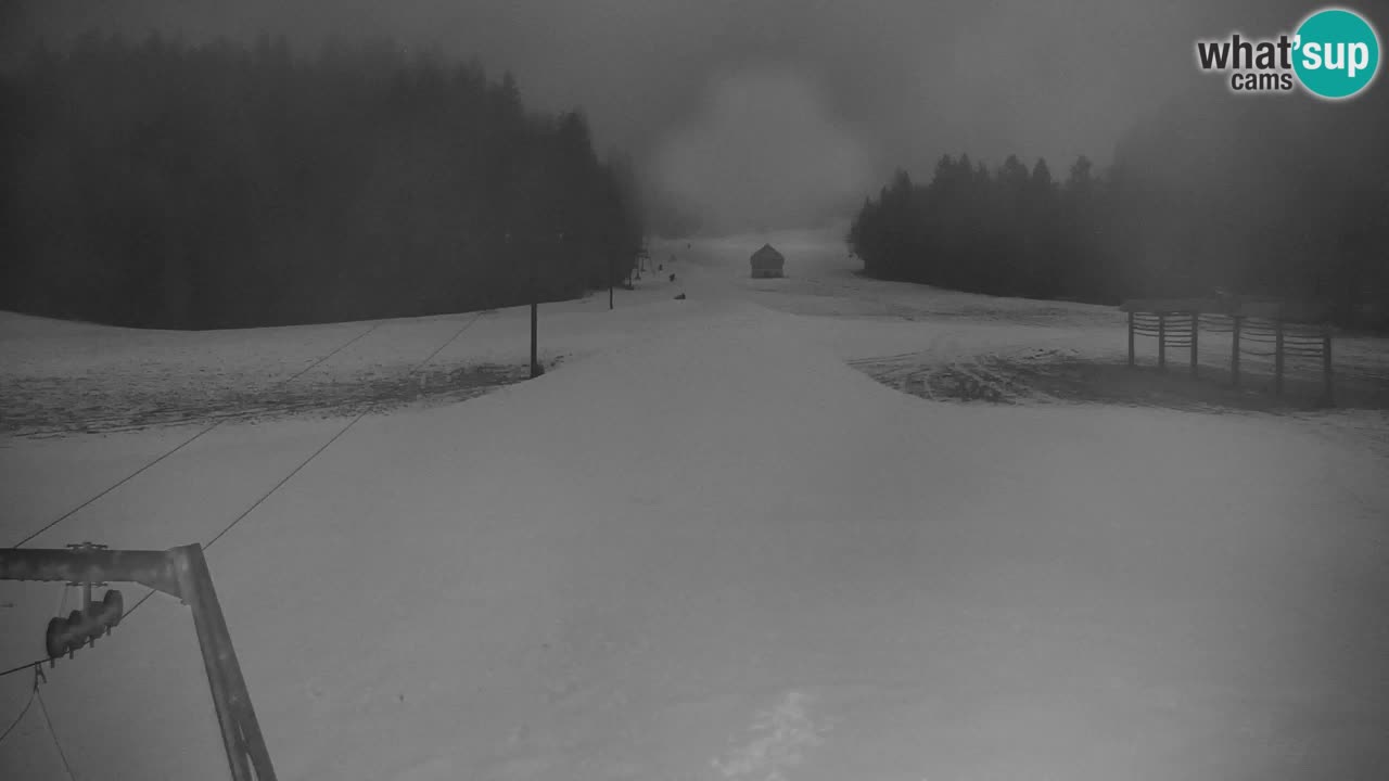 Skijanje Kranjska Gora | Velika Dolina