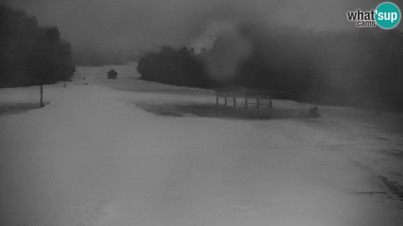 Estación de esquí Kranjska Gora | Velika Dolina