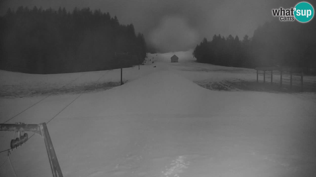 Ski Kranjska Gora | Velika Dolina