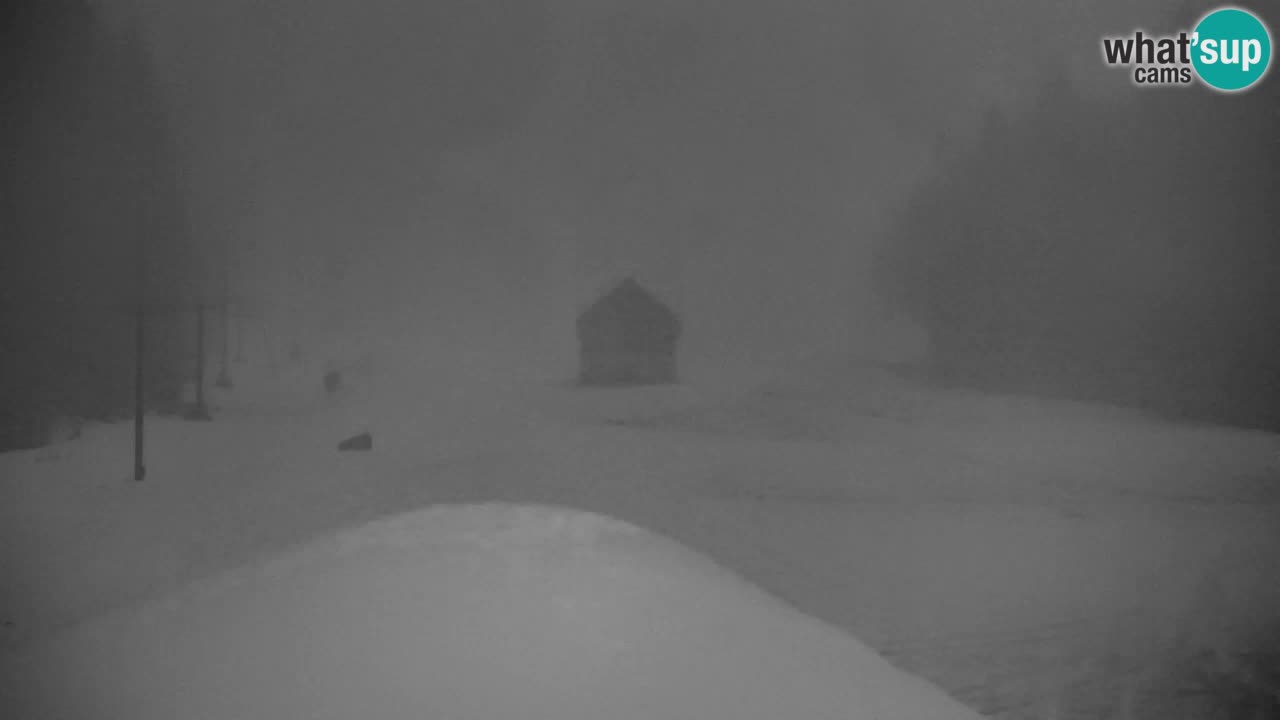 Ski Kranjska Gora | Velika Dolina