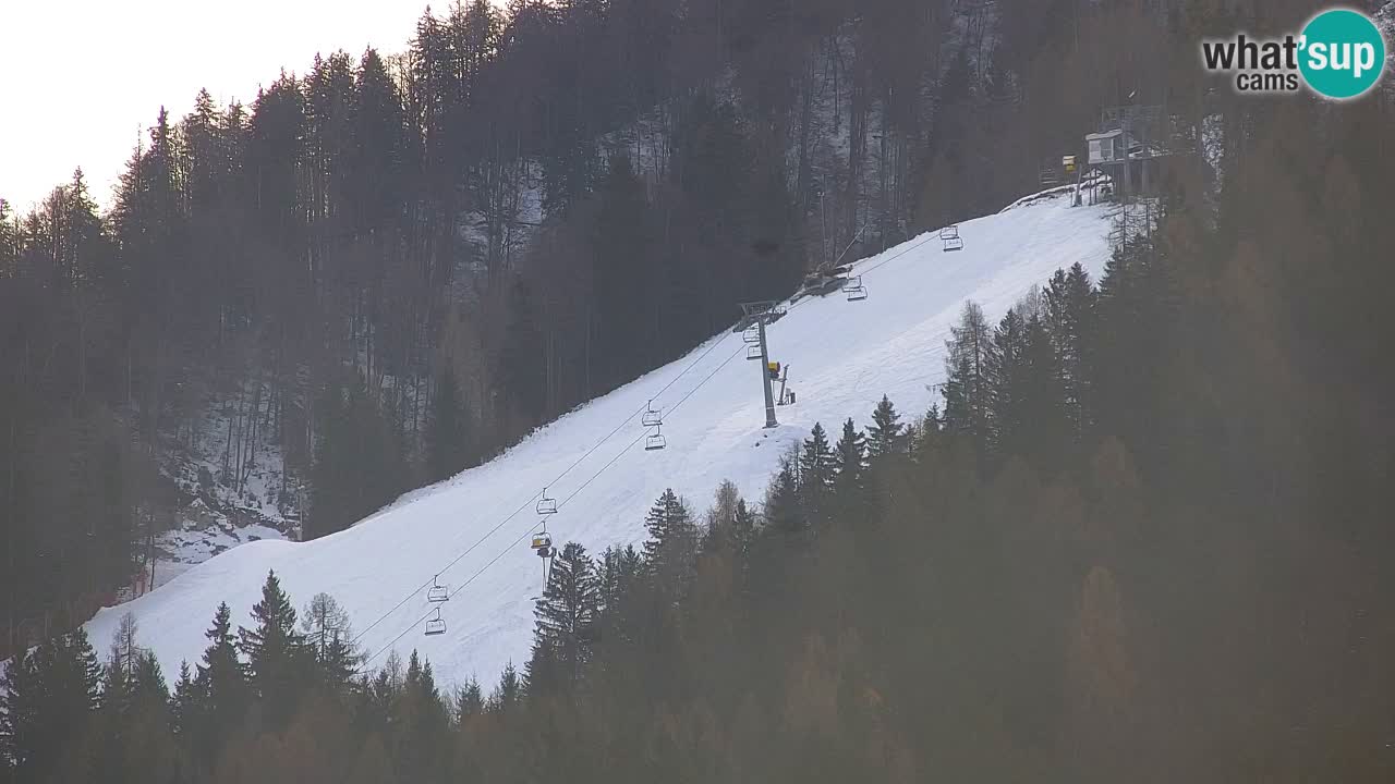 Skigebiet Kranjska Gora | Velika Dolina