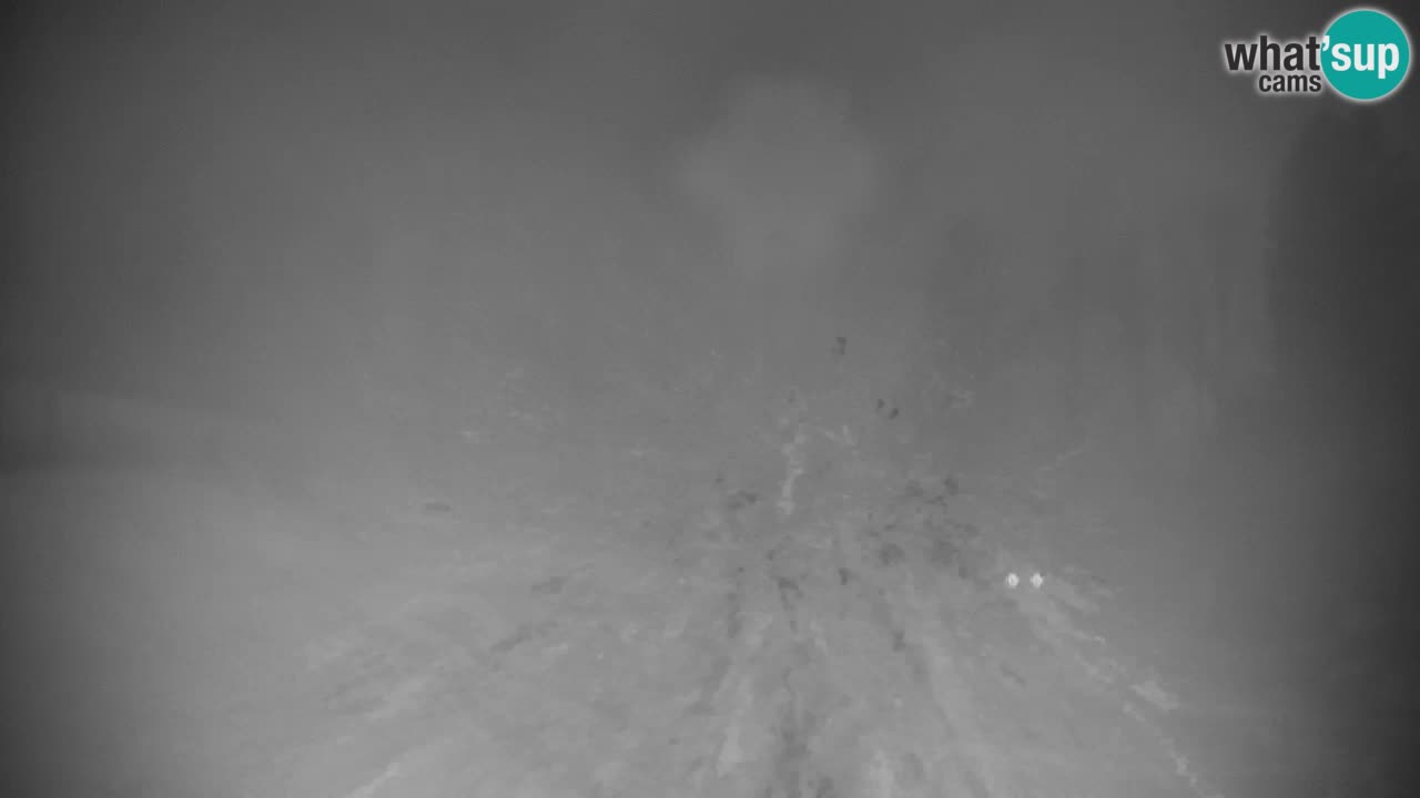 Ski Kranjska Gora | Velika Dolina