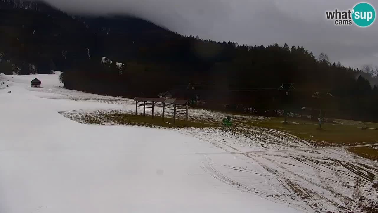 Skigebiet Kranjska Gora | Velika Dolina