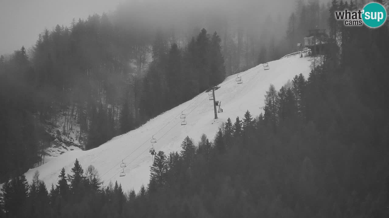 Estación de esquí Kranjska Gora | Velika Dolina