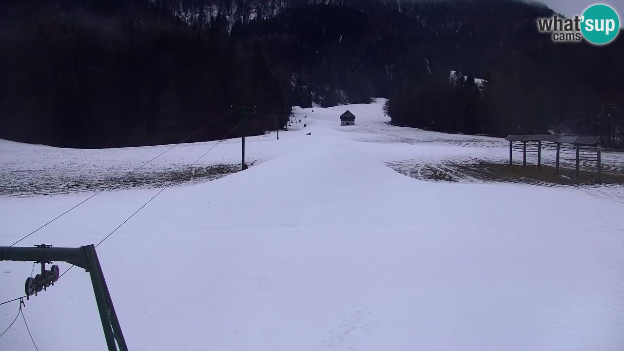 Station de ski Kranjska Gora | Velika Dolina