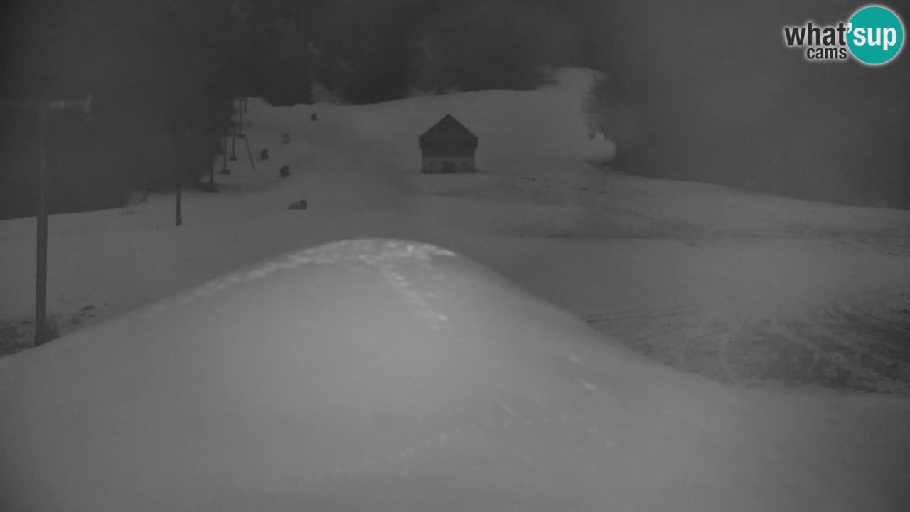 Skigebiet Kranjska Gora | Velika Dolina