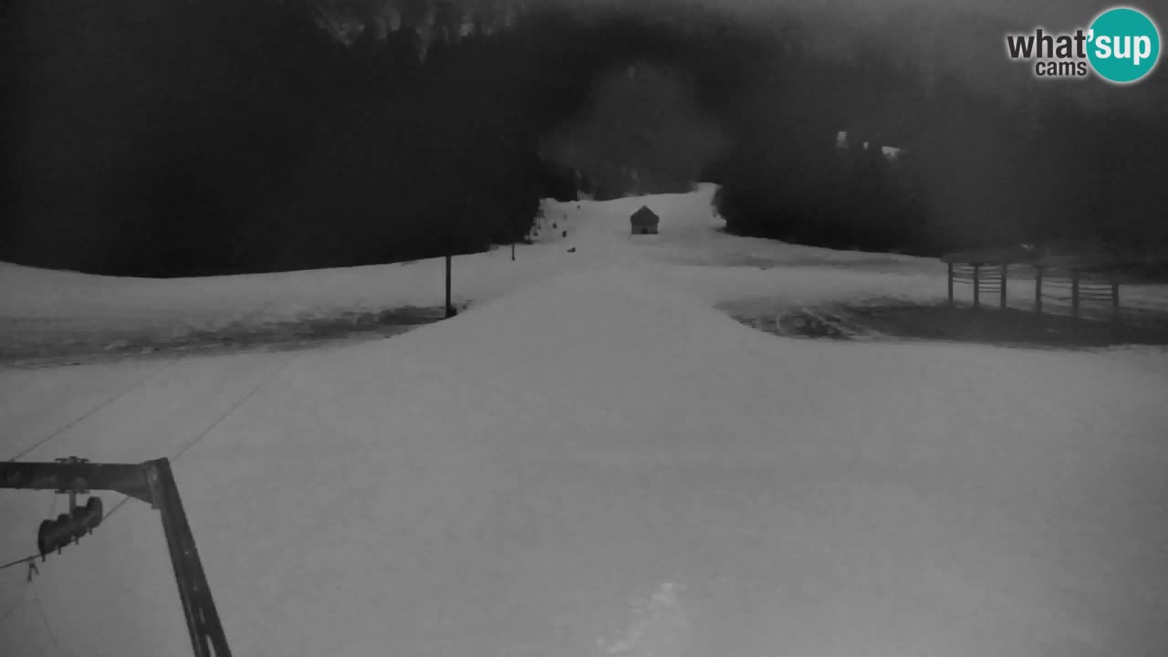 Ski Kranjska Gora | Velika Dolina